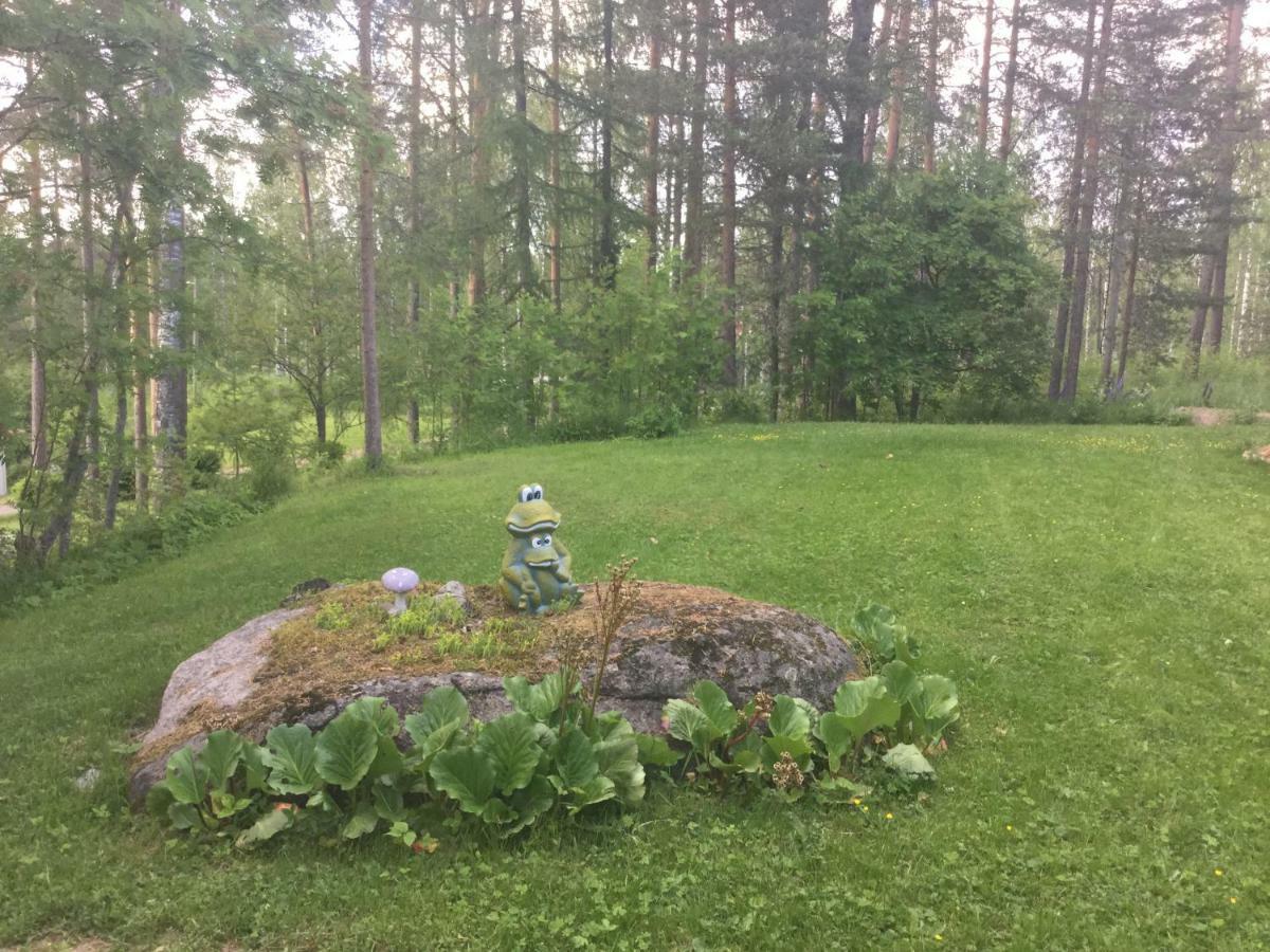Mini-Mani Northern House Sorsakoski Eksteriør billede