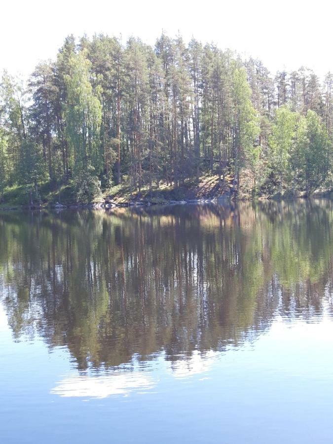 Mini-Mani Northern House Sorsakoski Eksteriør billede